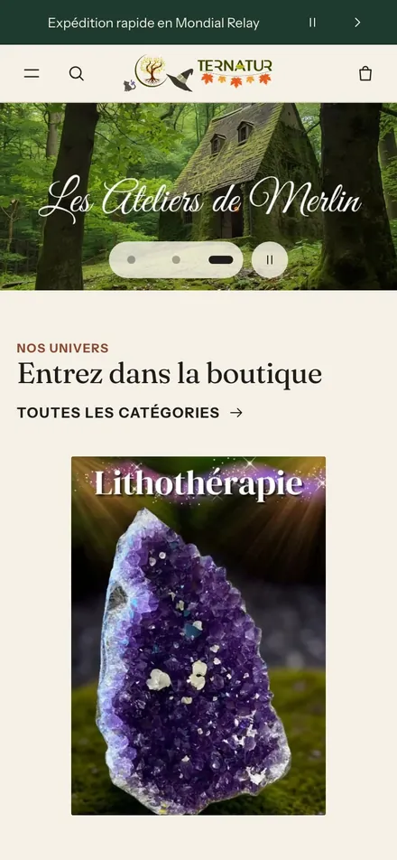 Page d'accueil du site ternatur.myshopify.com sur mobile